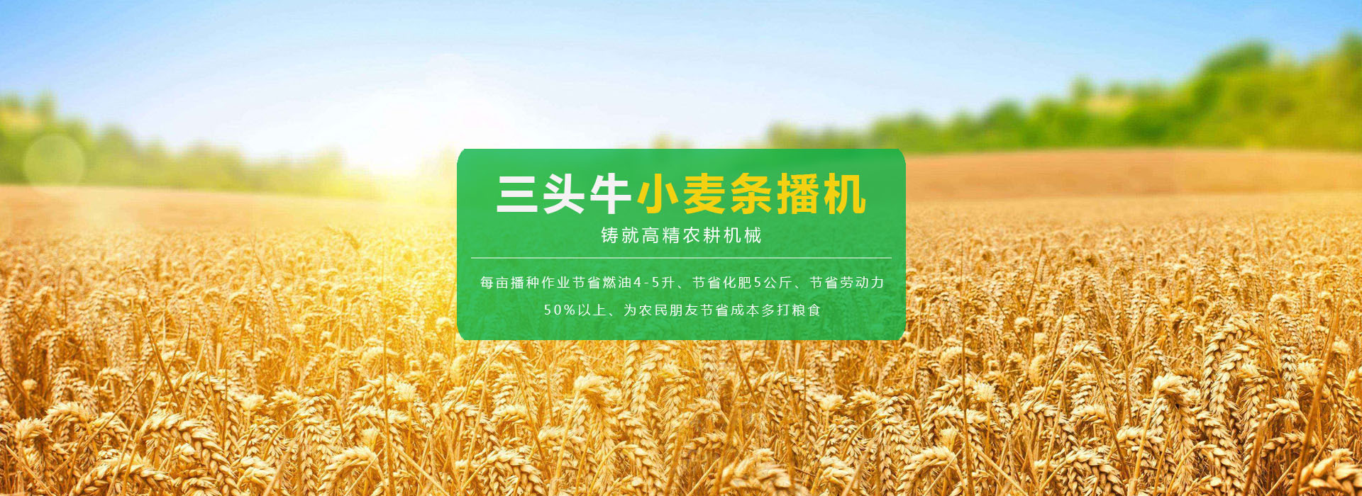 �}�����əCе�������޹�˾
